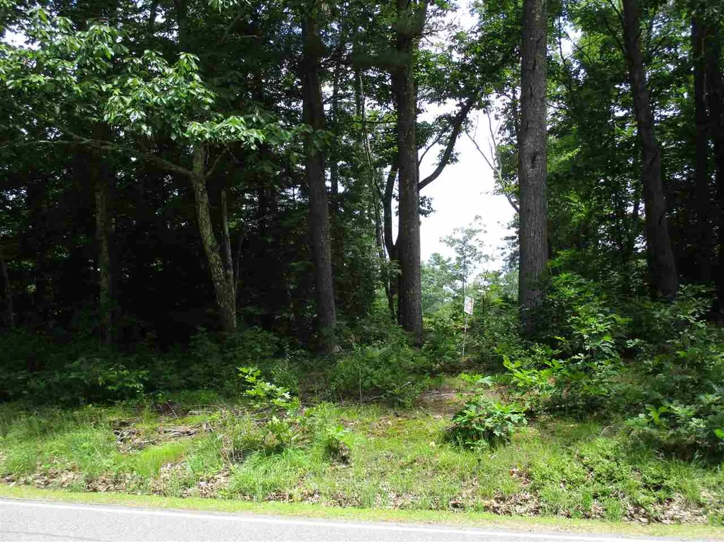 Lot 150-1 Mountain Road Nottingham NH 03291