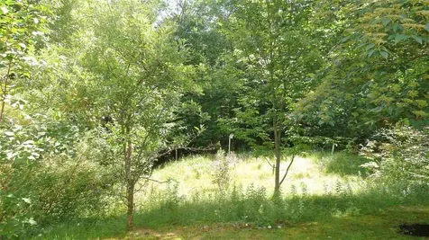 212 Birch Hill Road New Durham NH 03855
