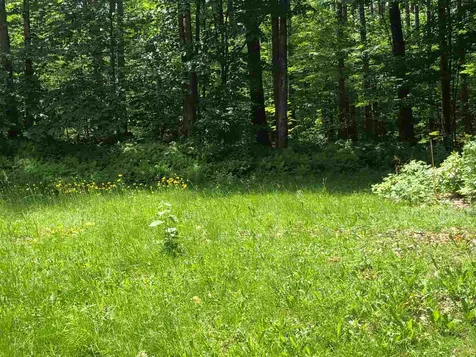 85 Bradford Road Sunapee NH 03782
