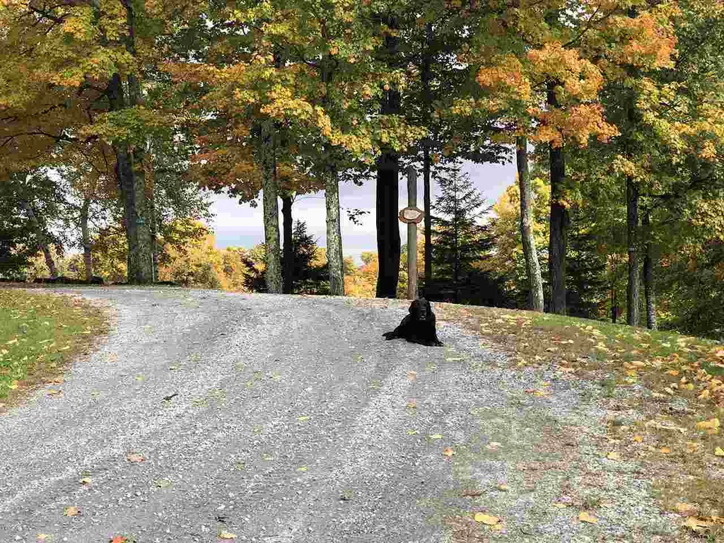 1001 Atwood Lane Woodstock VT 05091