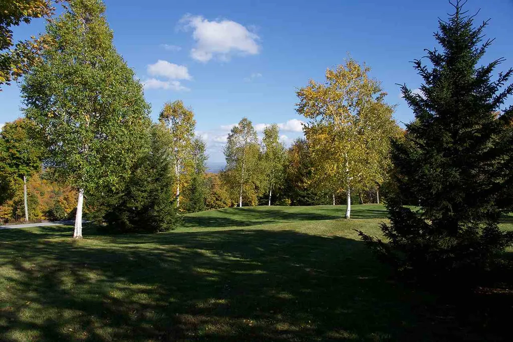 1001 Atwood Lane Woodstock VT 05091