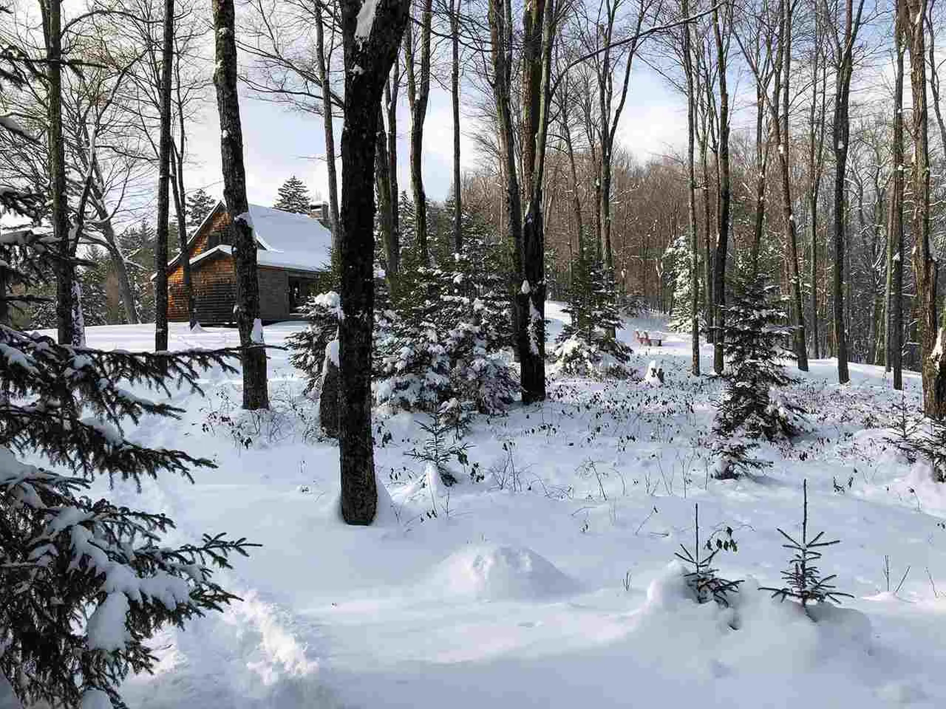 1001 Atwood Lane Woodstock VT 05091