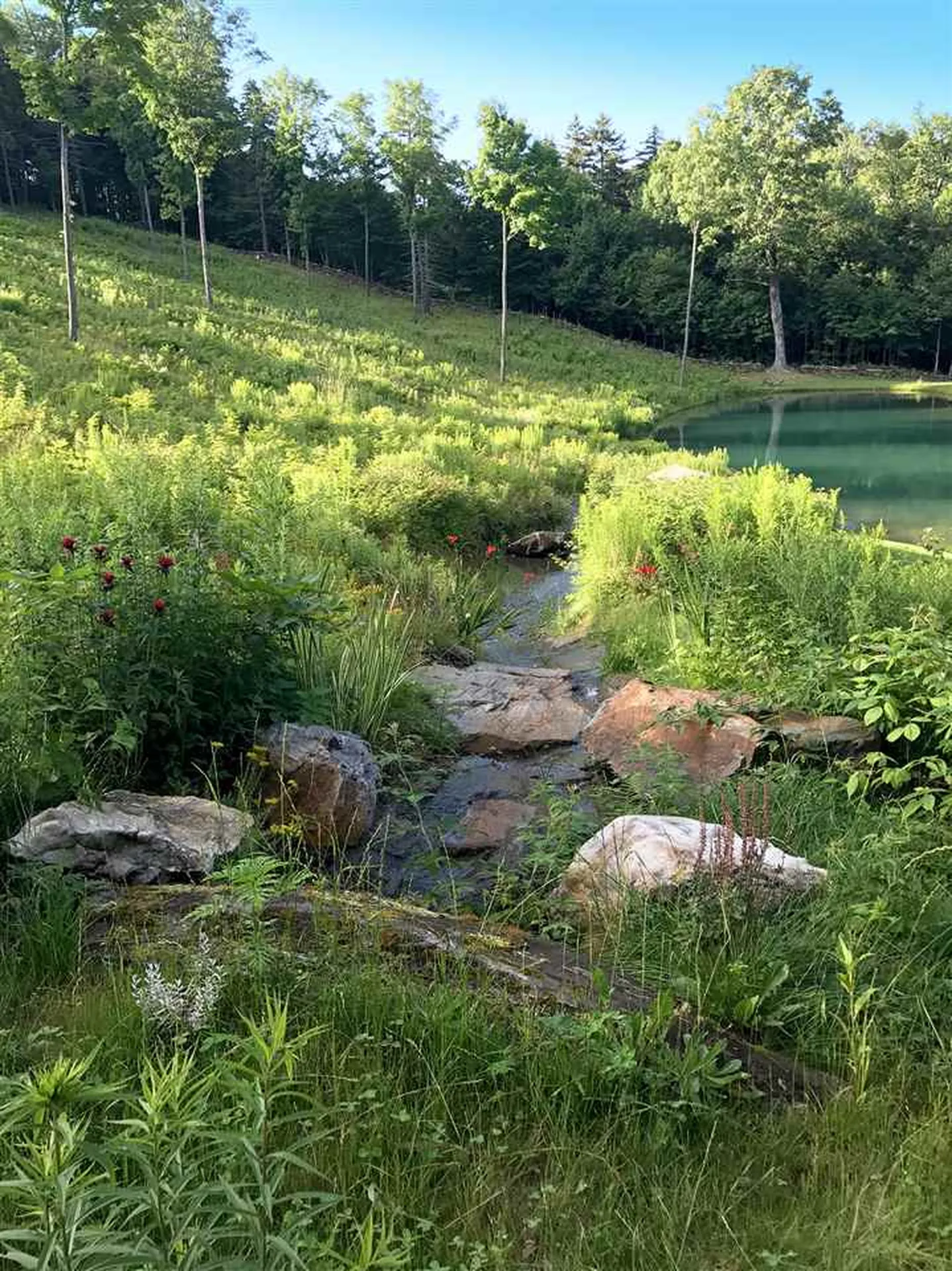 1001 Atwood Lane Woodstock VT 05091