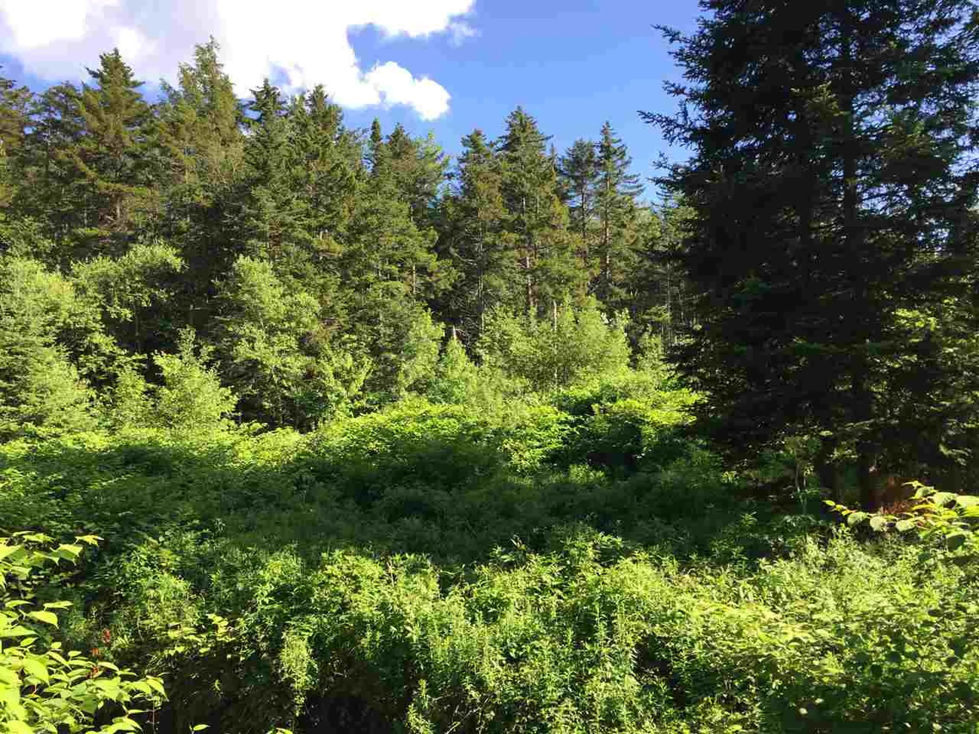 2267 Little Northfield Road Northfield VT 05663