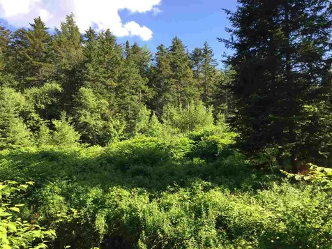 2267 Little Northfield Road Northfield VT 05663