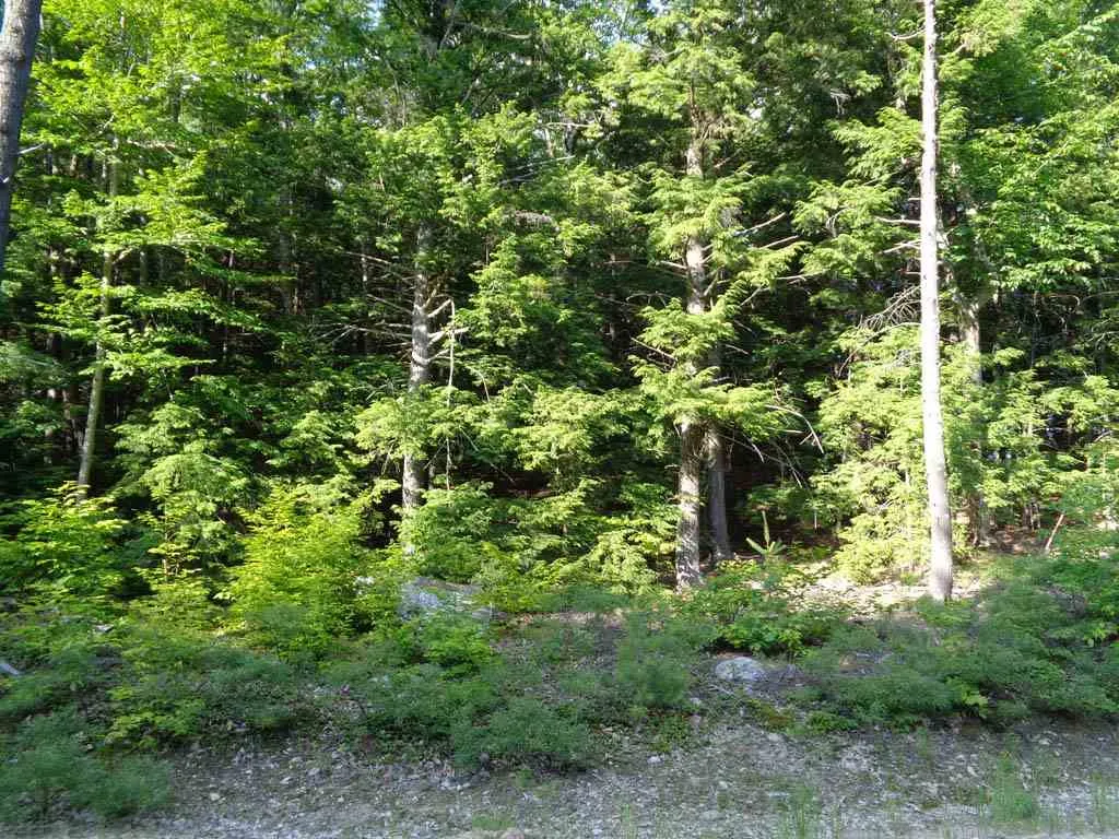 46 Eagle Ledge Road Meredith NH 03253