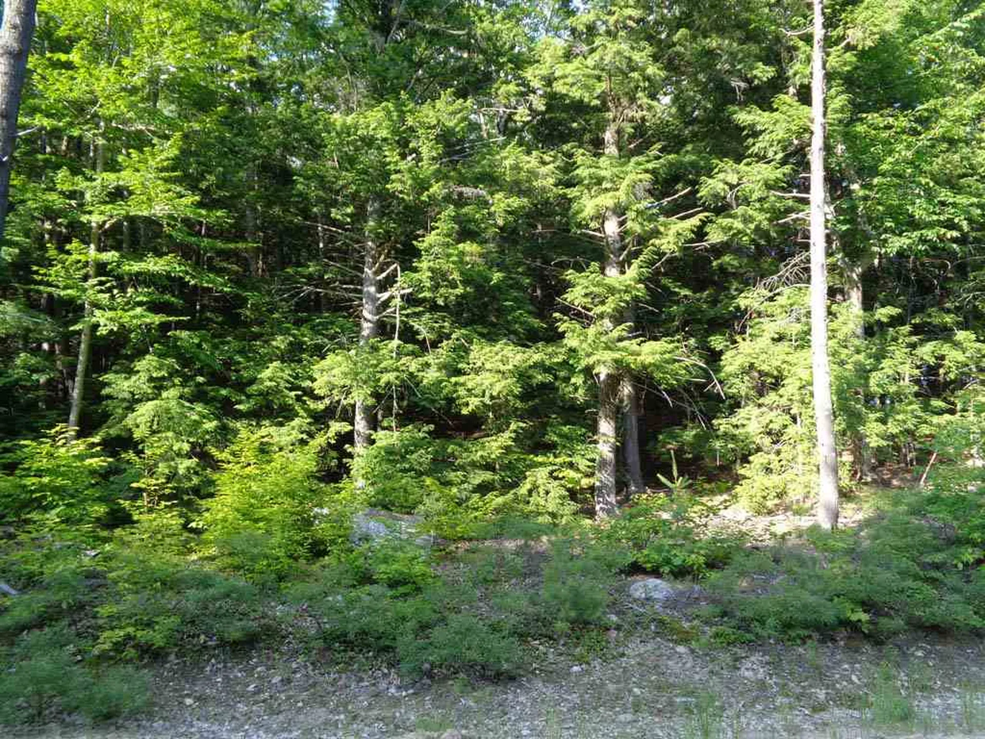 46 Eagle Ledge Road Meredith NH 03253