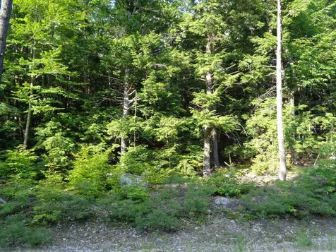 46 Eagle Ledge Road Meredith NH 03253