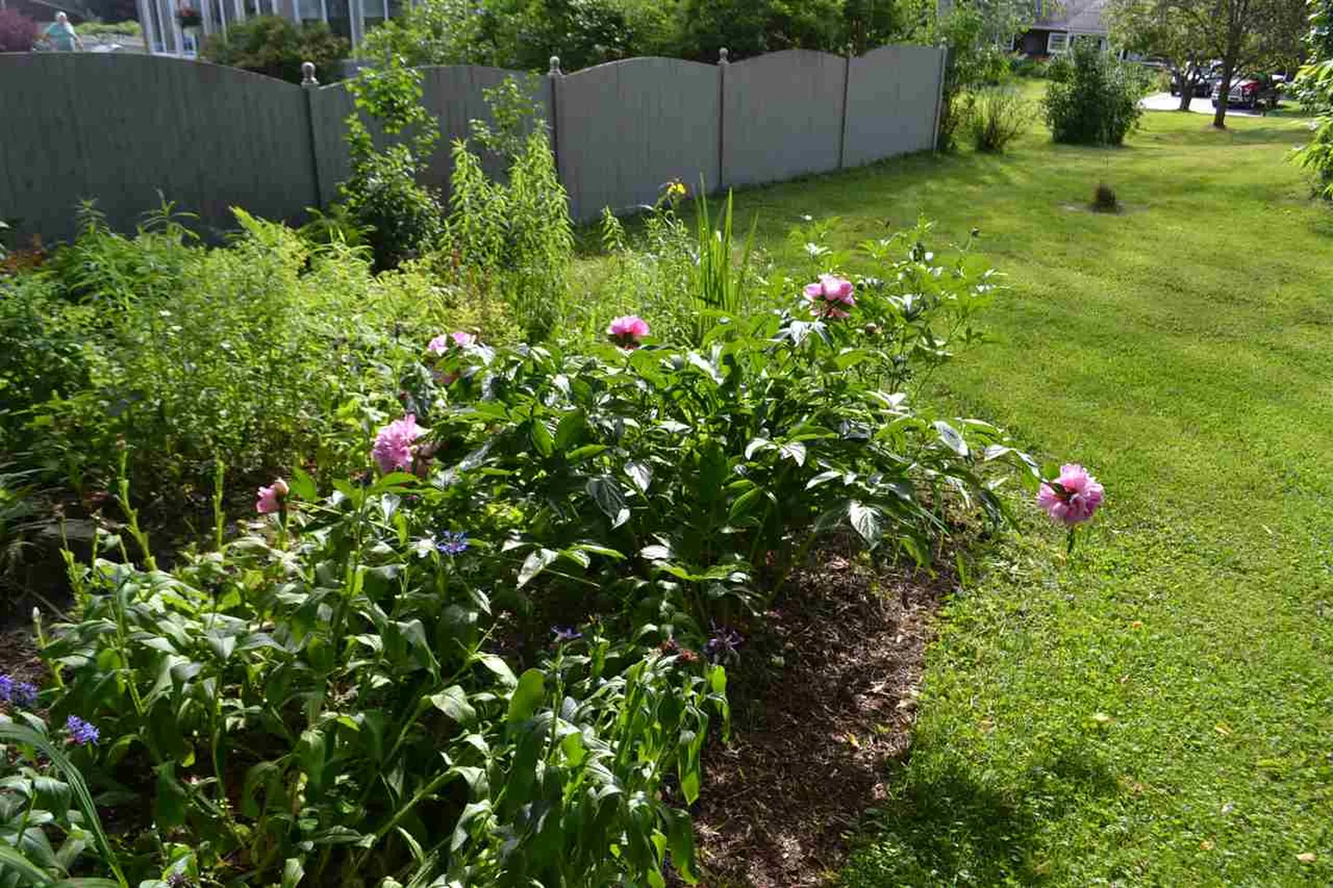 247 Grandview Terrace Montpelier VT 05602