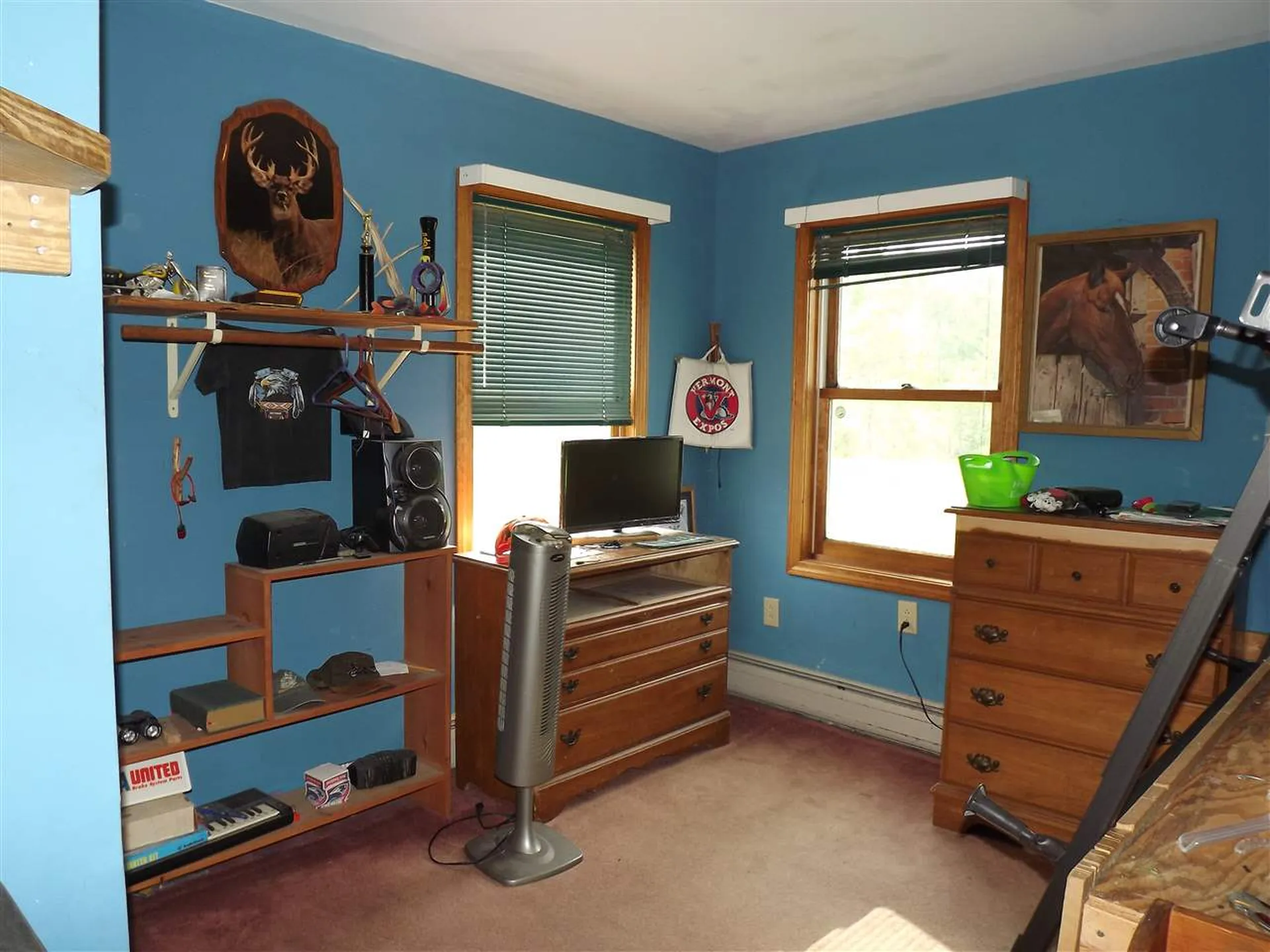 57 Beaver Meadow Road Marshfield VT 05658
