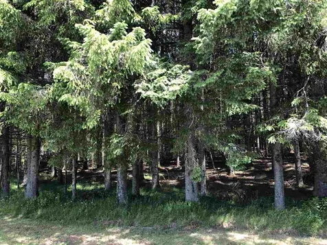 2675 Route 114, East Haven Road Brighton VT 05846