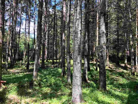 2675 Route 114, East Haven Road Brighton VT 05846