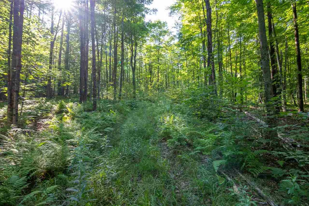 1306 Old Stage Road Westford VT 05494