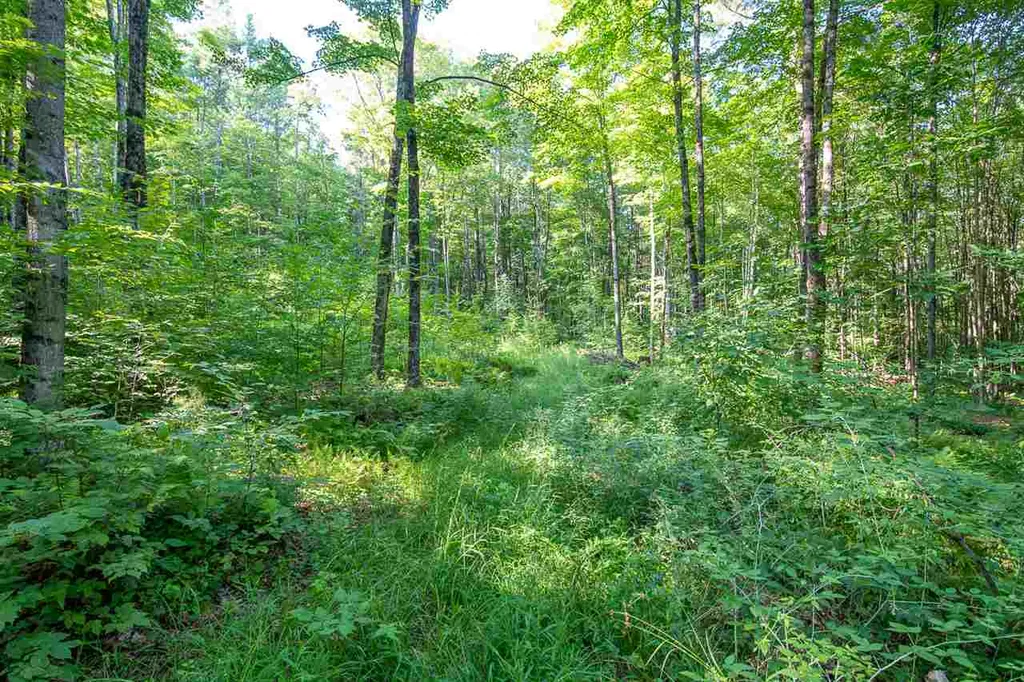 1306 Old Stage Road Westford VT 05494