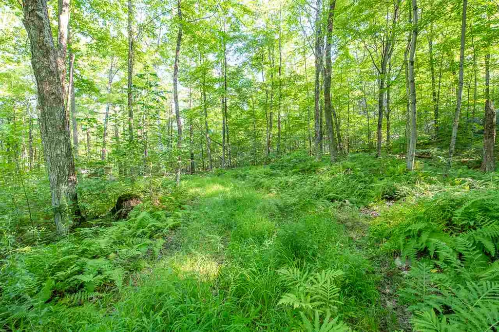 1306 Old Stage Road Westford VT 05494