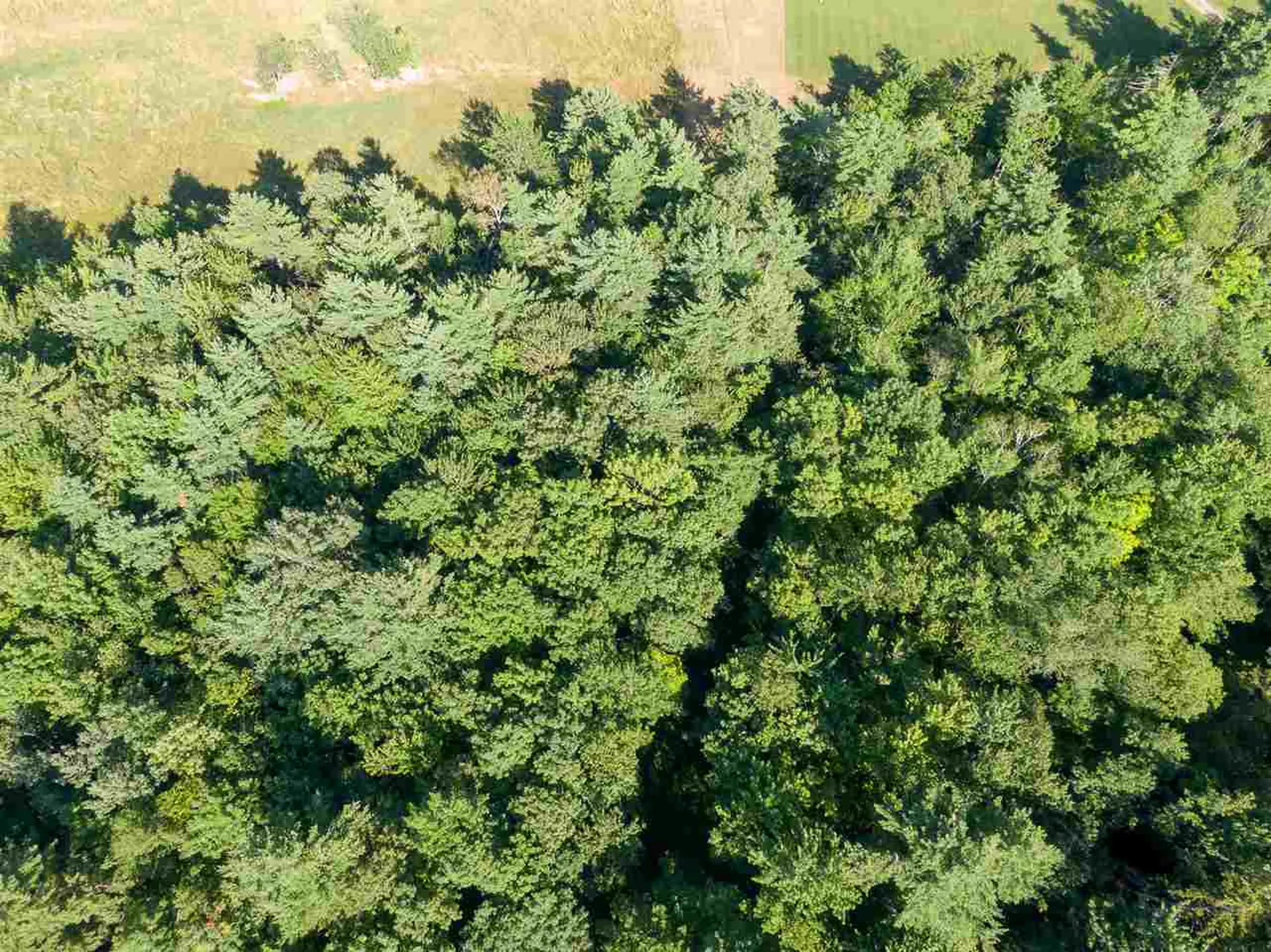 1306 Old Stage Road Westford VT 05494