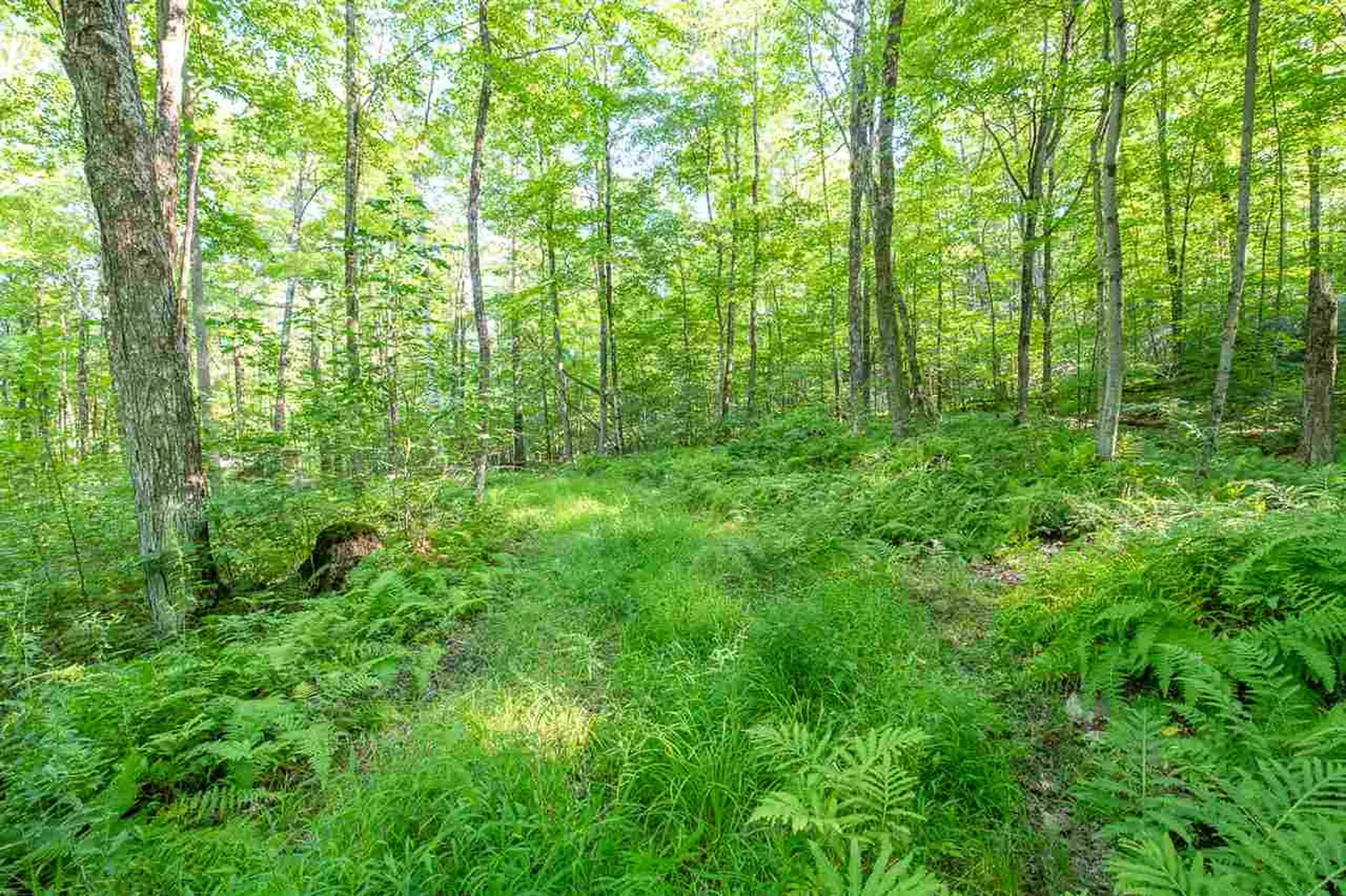 1306 Old Stage Road Westford VT 05494