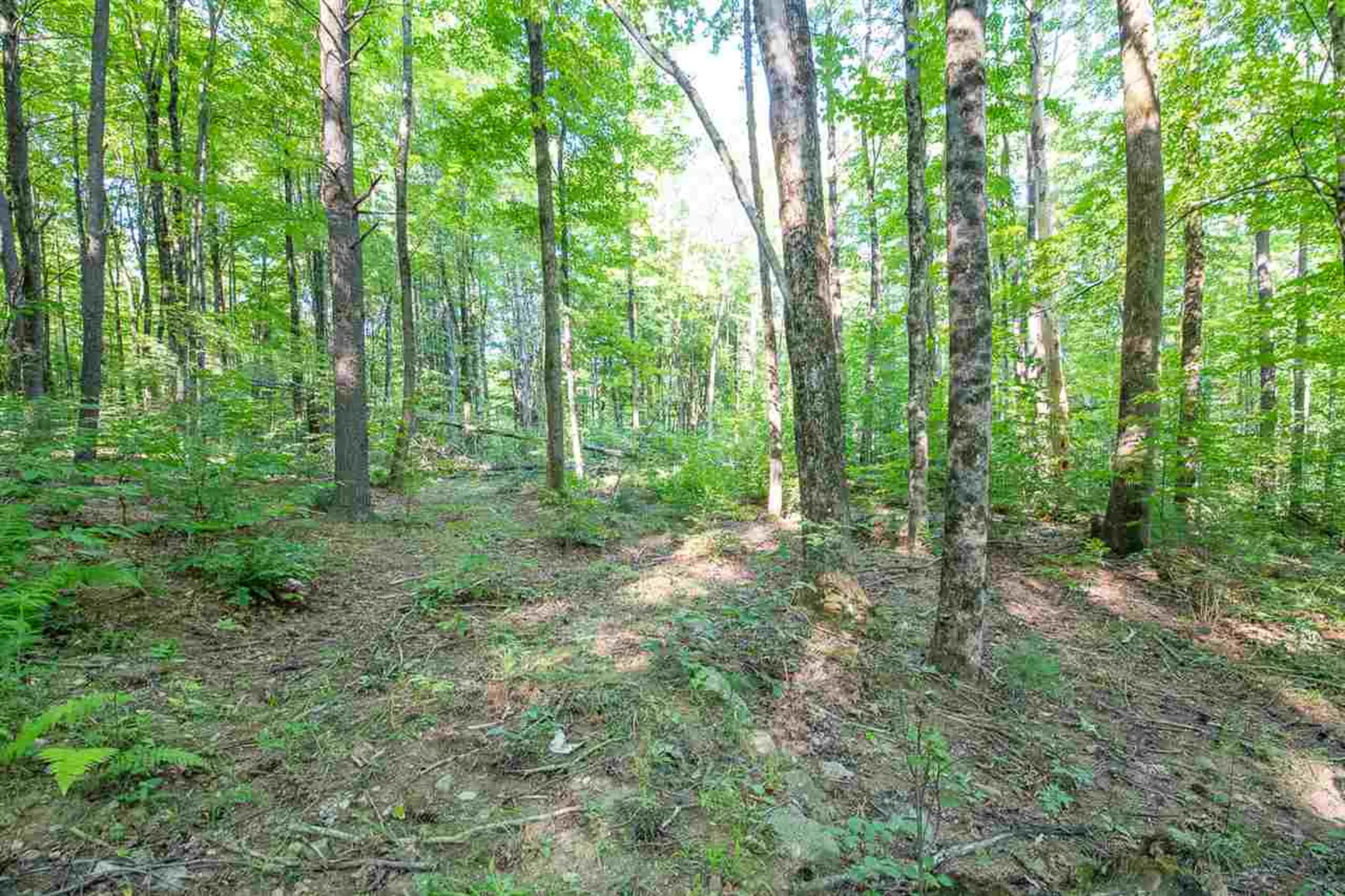 1306 Old Stage Road Westford VT 05494