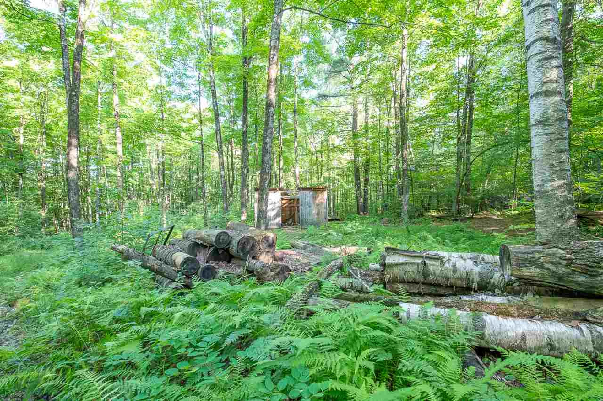 1306 Old Stage Road Westford VT 05494