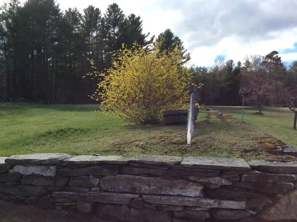 234 Camp Road Plainfield NH 03781