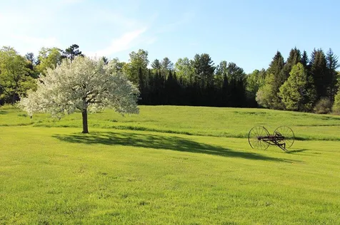 234 Camp Road Plainfield NH 03781