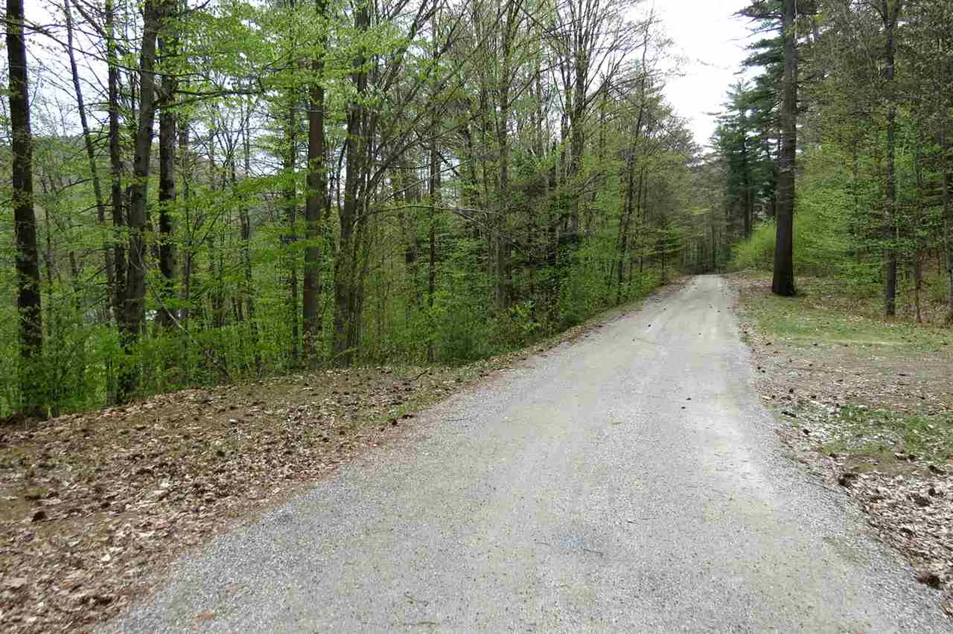 417 Bailey Hill Road Cavendish VT 05153