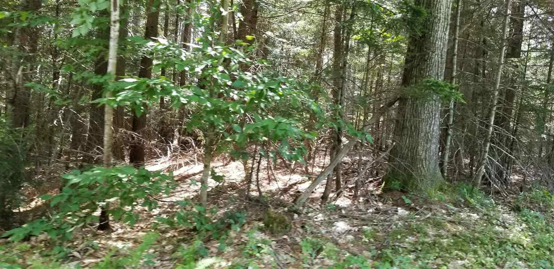 Lot 12 Logan Street Thornton NH 03285