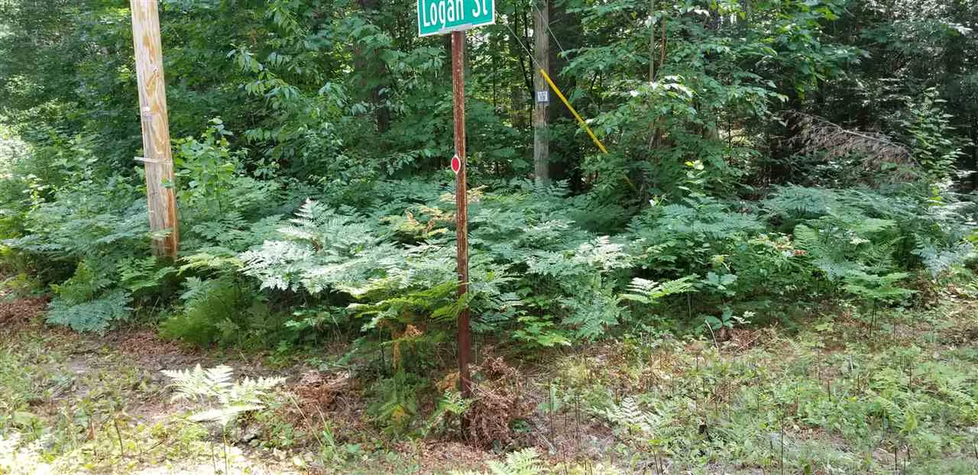 Lot 12 Logan Street Thornton NH 03285