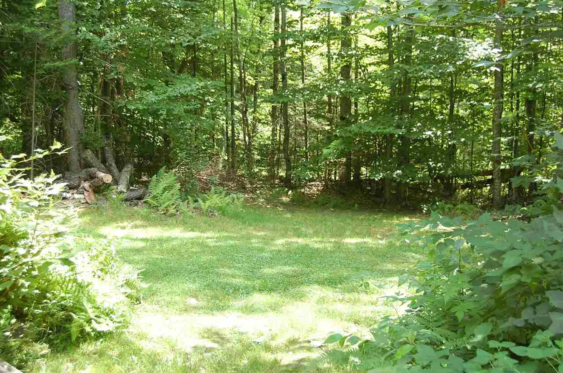 38 Beech Street Warren VT 05674