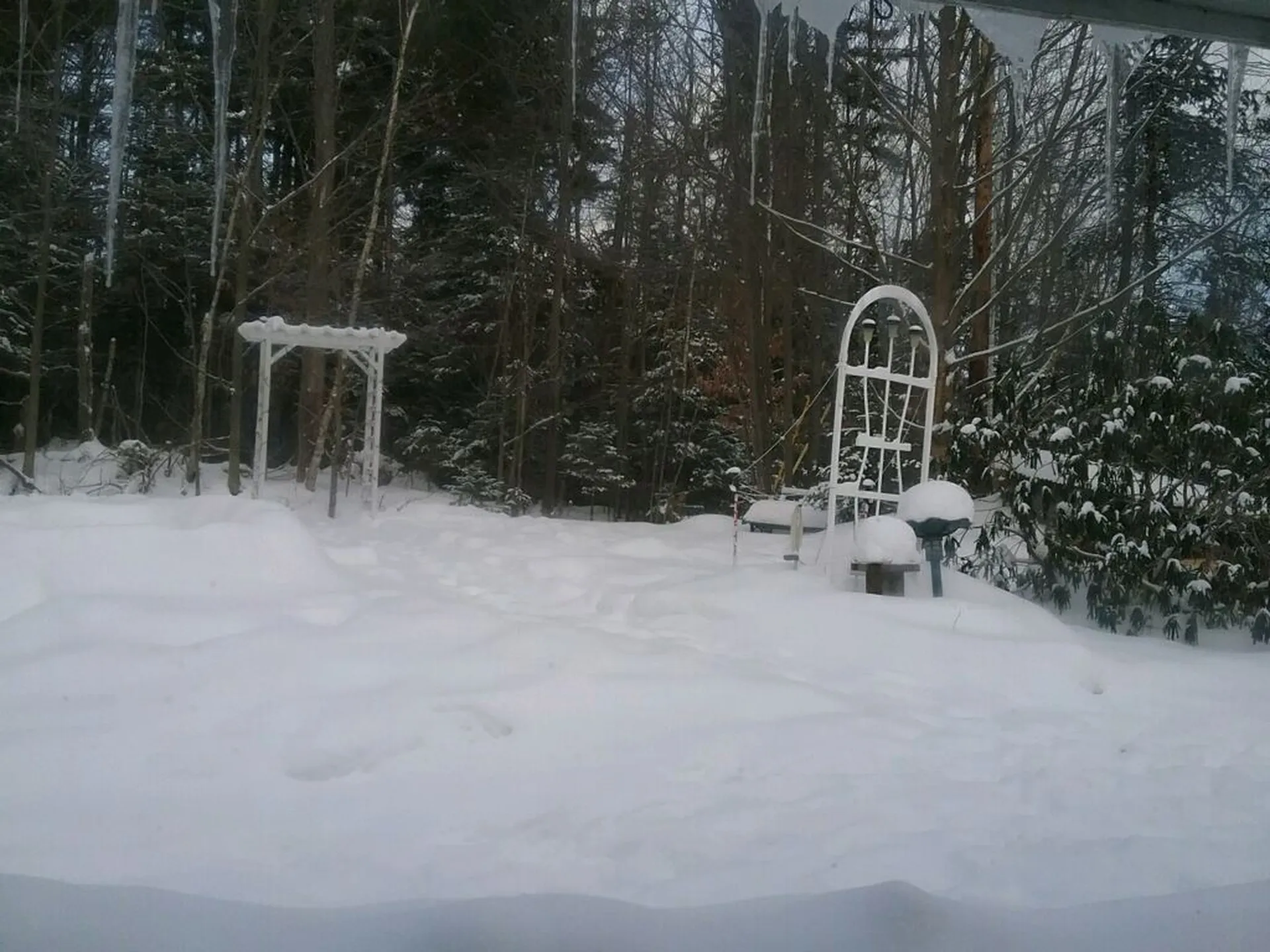 38 Beech Street Warren VT 05674
