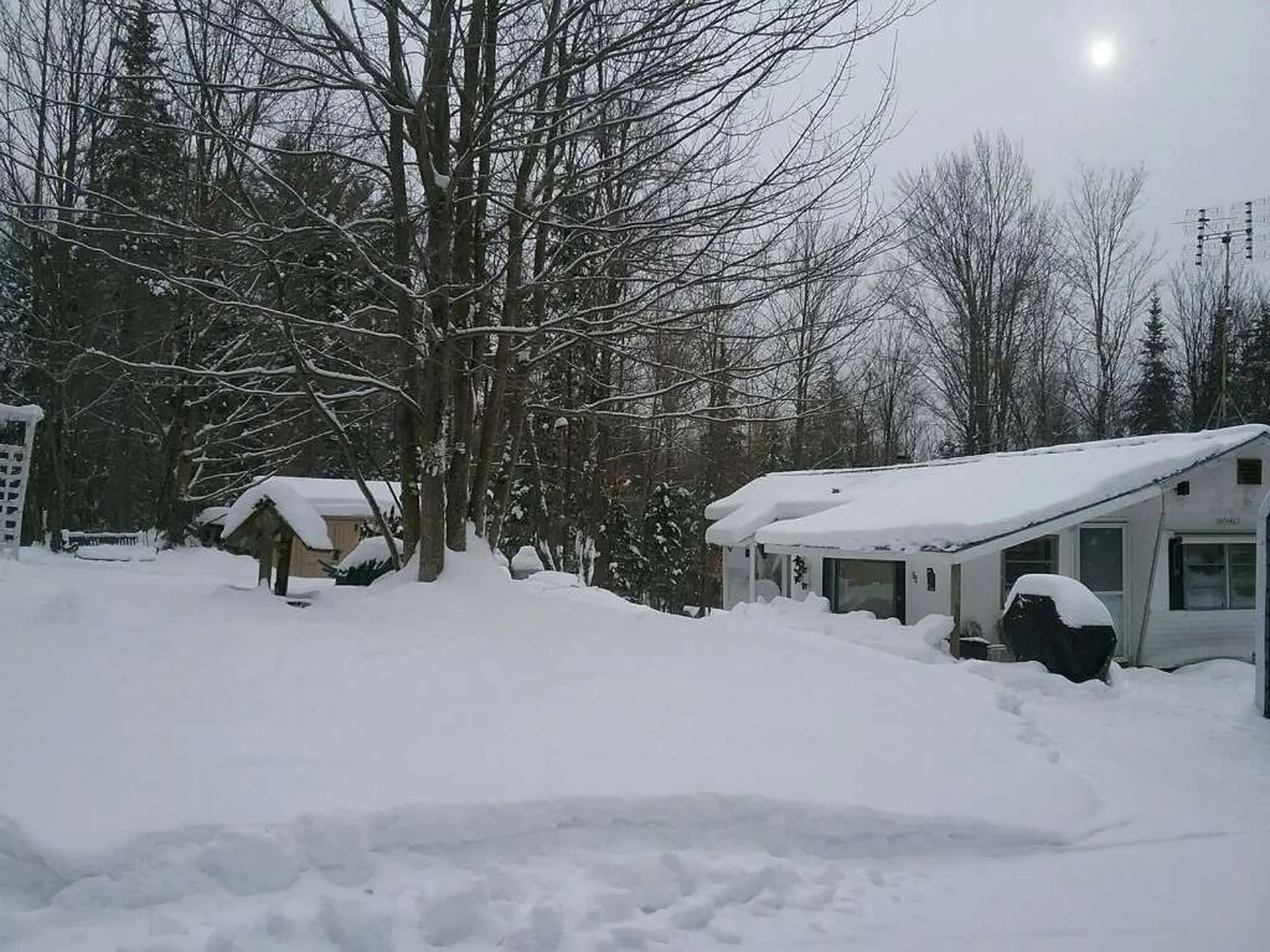 38 Beech Street Warren VT 05674