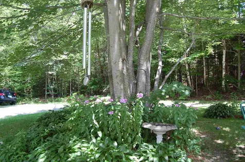 38 Beech Street Warren VT 05674