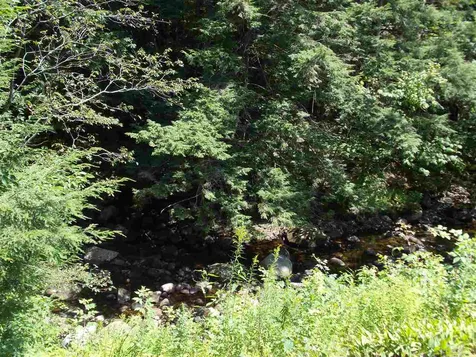 1736 Stinson Lake Road Rumney NH 03266