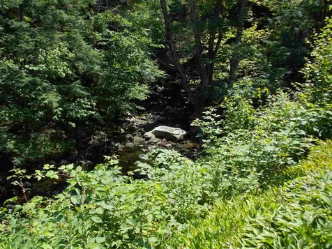 1736 Stinson Lake Road Rumney NH 03266