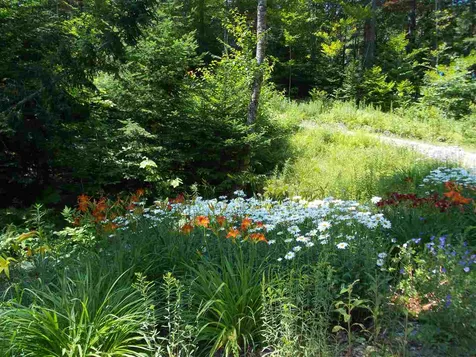 1736 Stinson Lake Road Rumney NH 03266