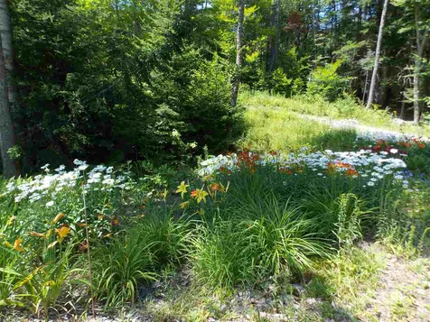 1736 Stinson Lake Road Rumney NH 03266
