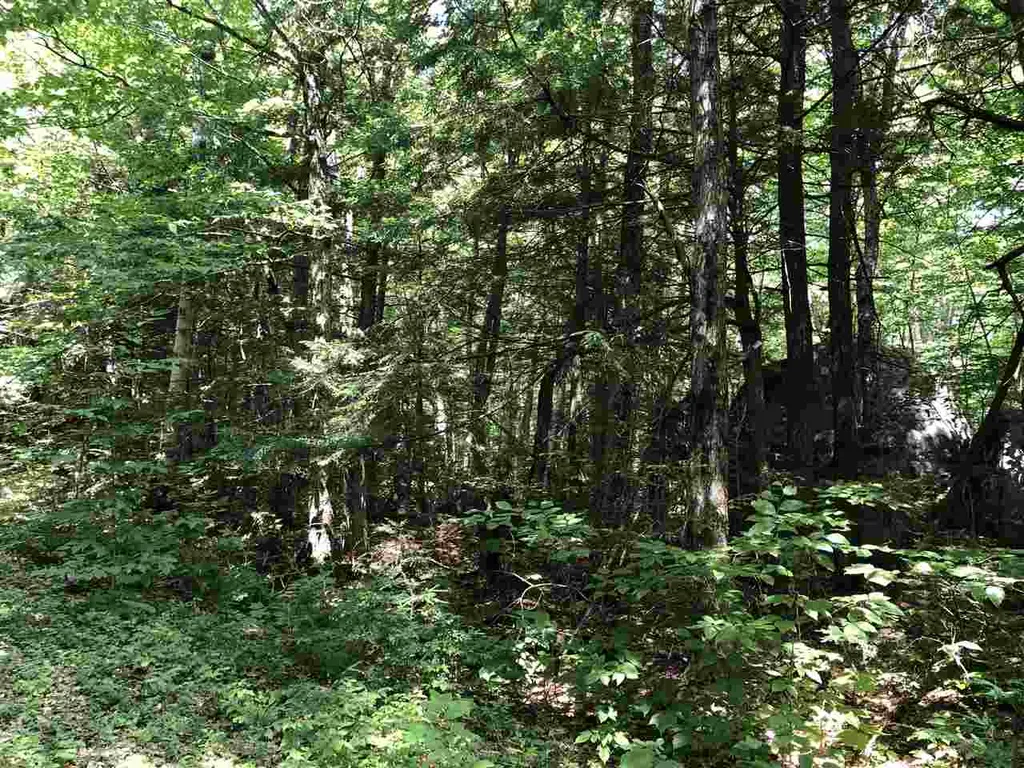 0 Pauls Place Enfield NH 03748