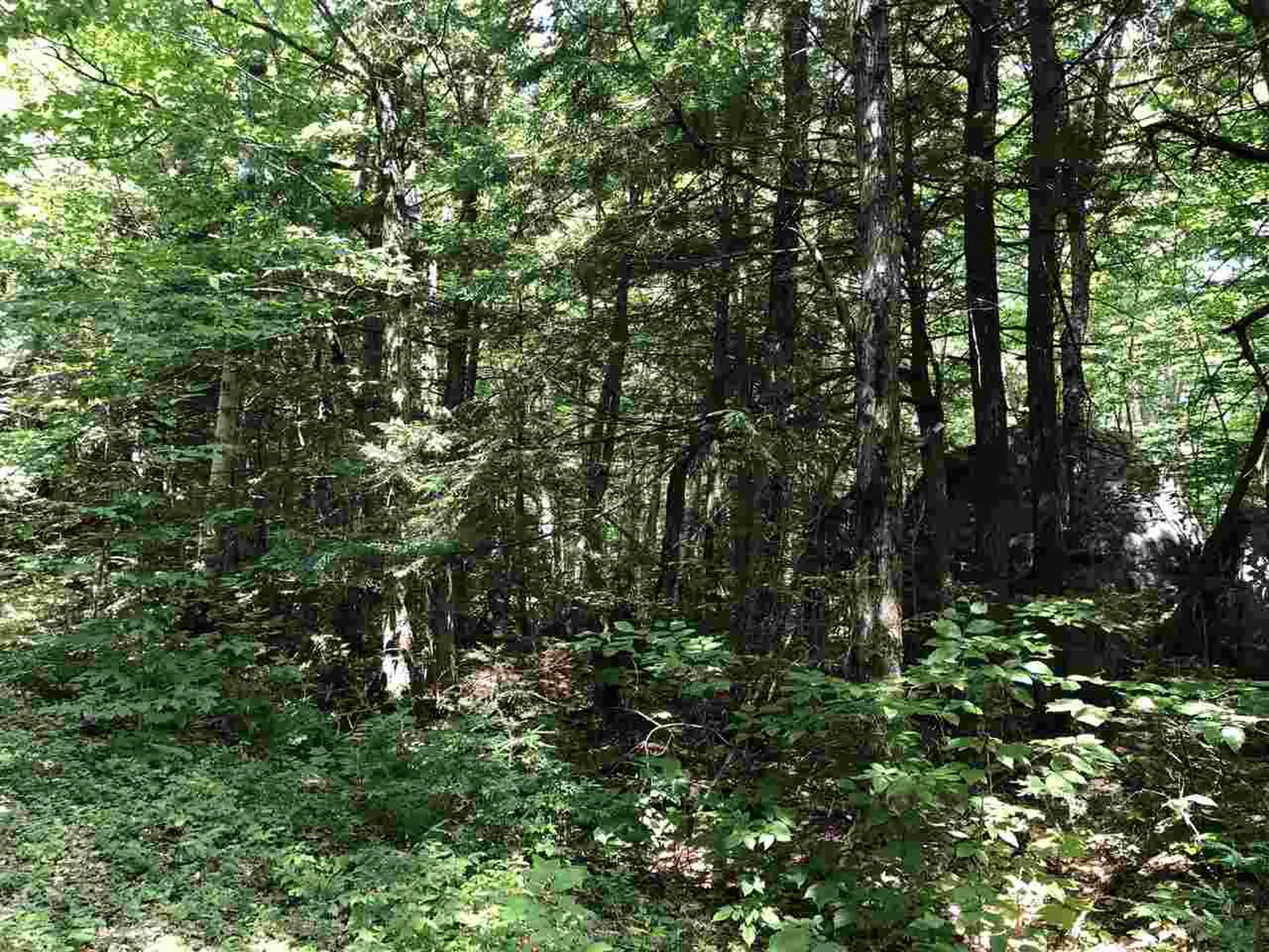 0 Pauls Place Enfield NH 03748