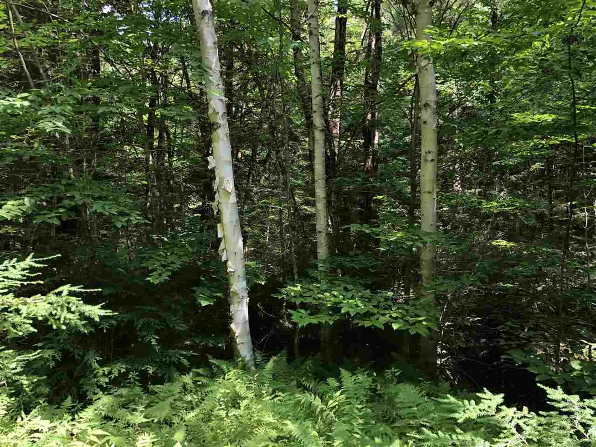 0 Pauls Place Enfield NH 03748