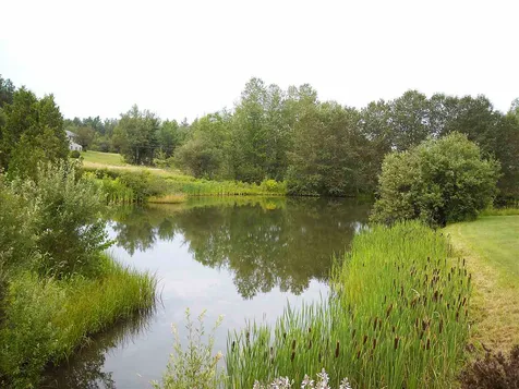 2441 Willoughby Avenue Barton VT 05860
