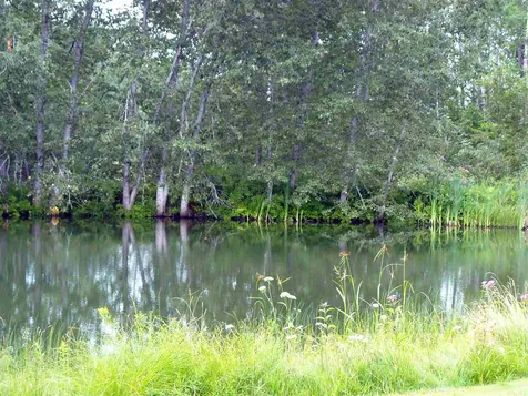 2441 Willoughby Avenue Barton VT 05860