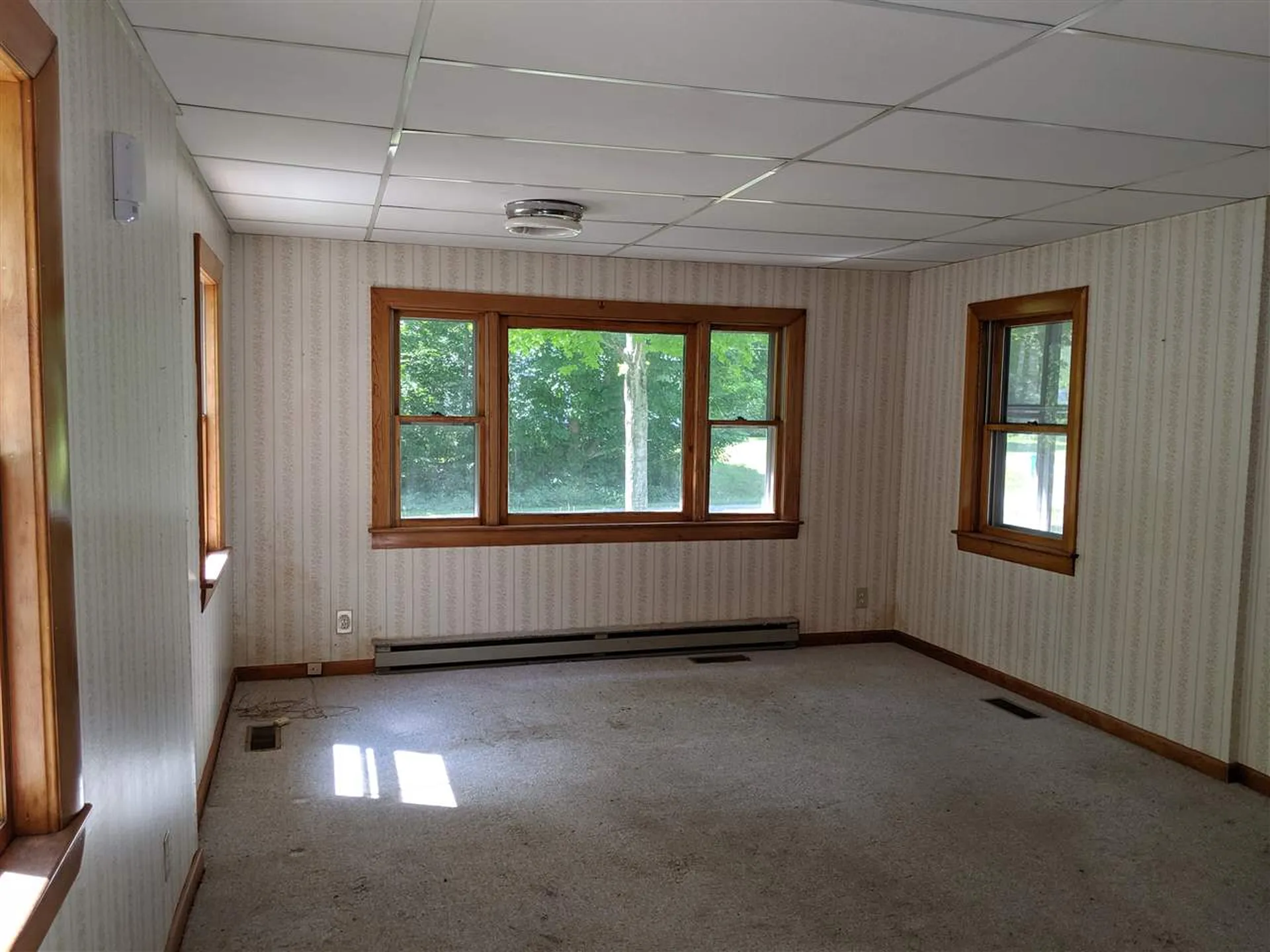 415 School Street Rumney NH 03266-3416