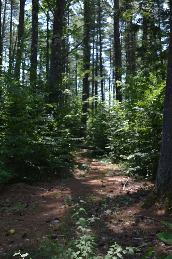 96 Chestnut Cove Road Alton NH 03809