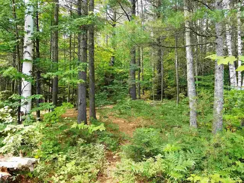 0 Island Brighton VT 05846