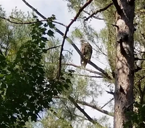 0 Island Brighton VT 05846