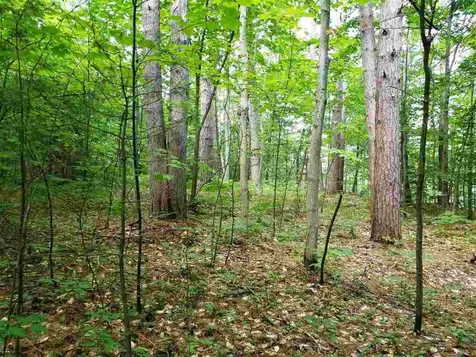 0 Island Brighton VT 05846