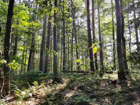 0 Island Brighton VT 05846