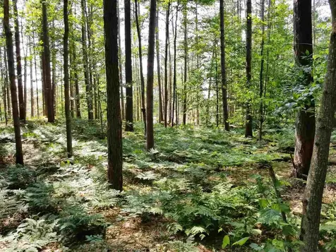 0 Island Brighton VT 05846