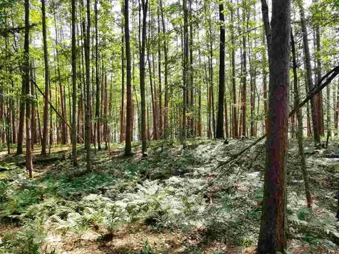 0 Island Brighton VT 05846