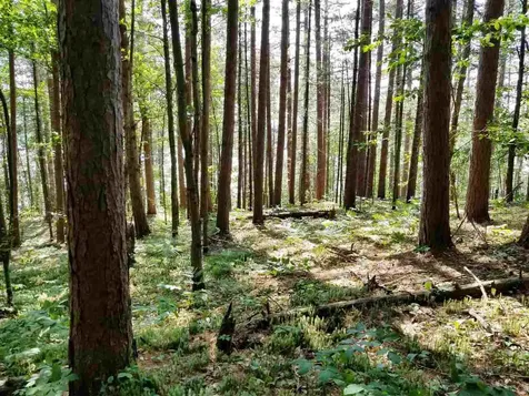 0 Island Brighton VT 05846